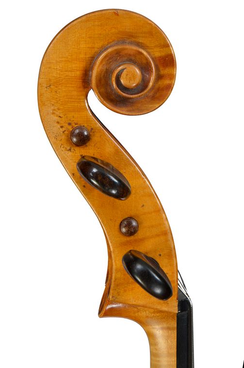 Celloschnecke Paul Knorr